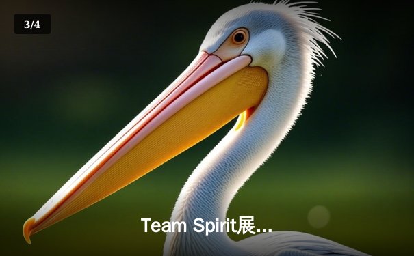 Team Spirit展现王者风范，3-1力克LGD问鼎利雅得大师赛冠军 - 3