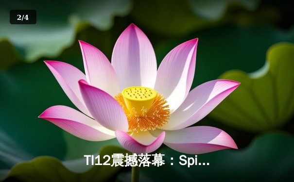 TI12震撼落幕：Spirit战队让二追三逆袭GG，刷新DOTA2历史纪录 - 2