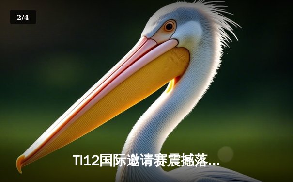 TI12国际邀请赛震撼落幕，Spirit战队让二追三创造历史 - 2